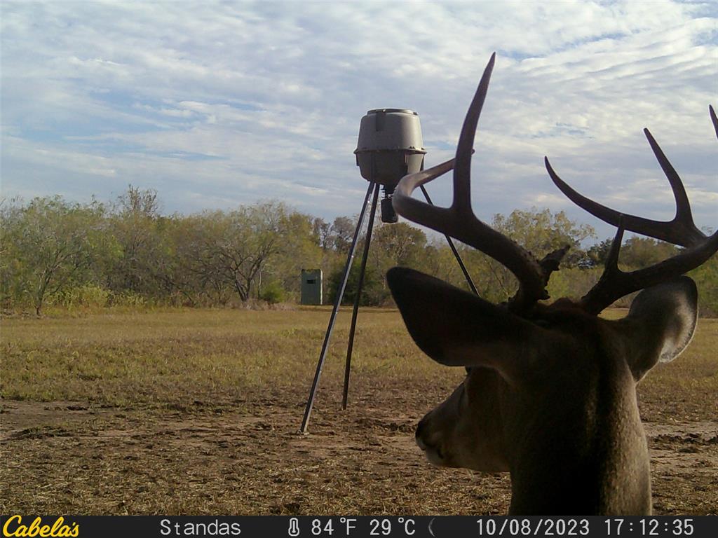 6289 Maynard Hallmark Road, Waelder, Texas image 15