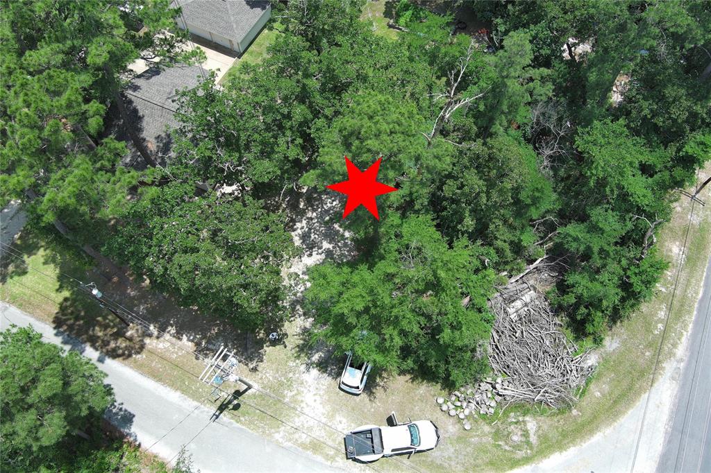 6 Hickory Hollow, Huntsville, Texas image 40