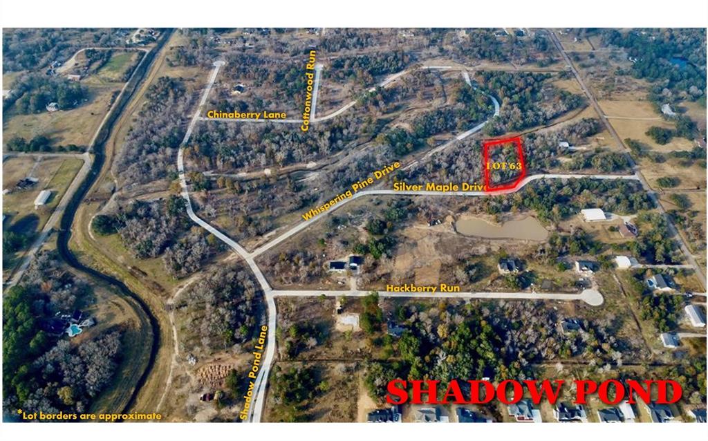 2702 Silver Maple Drive Dr, Alvin, Texas image 8