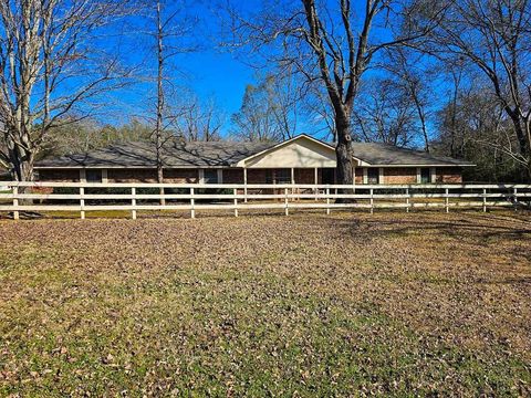Photo of 517 An County Road 147, Palestine, TX 75801 (MLS # 32029509) Photo of 517 An County Road 147, Palestine, TX 75801 (MLS # 32029509)