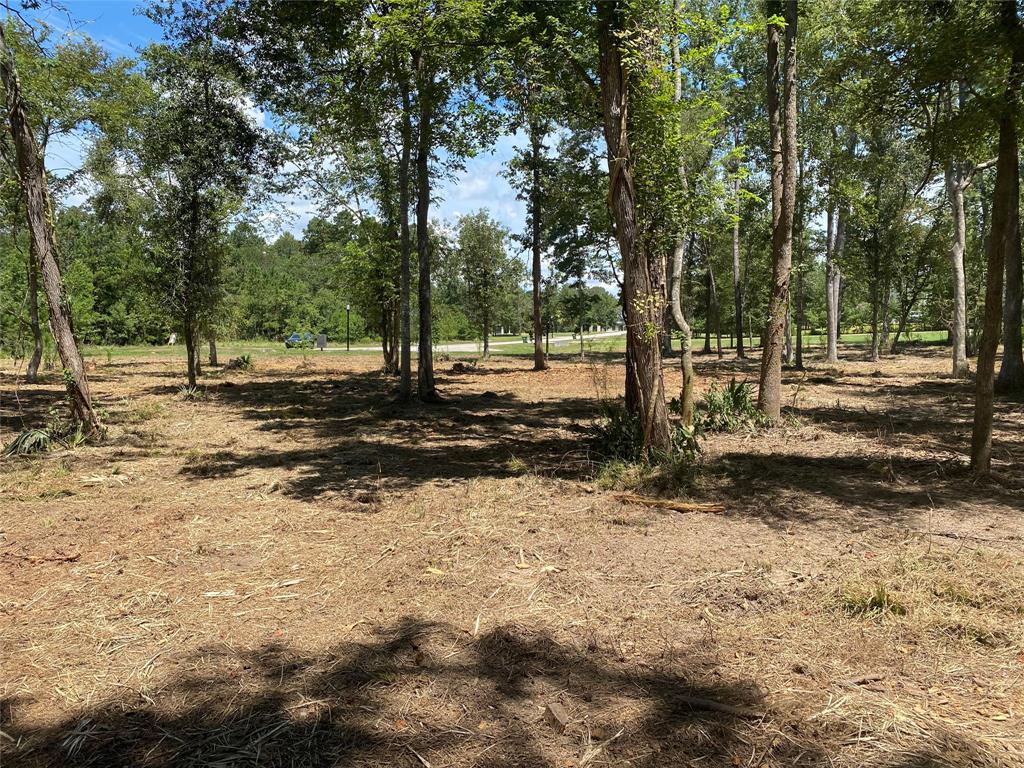 402 Remington Trail, Huffman, Texas image 10