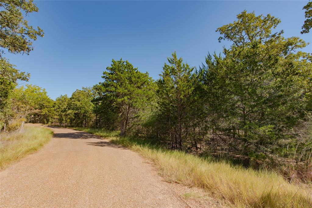 TBD Shoreline Drive, Somerville, Texas image 6