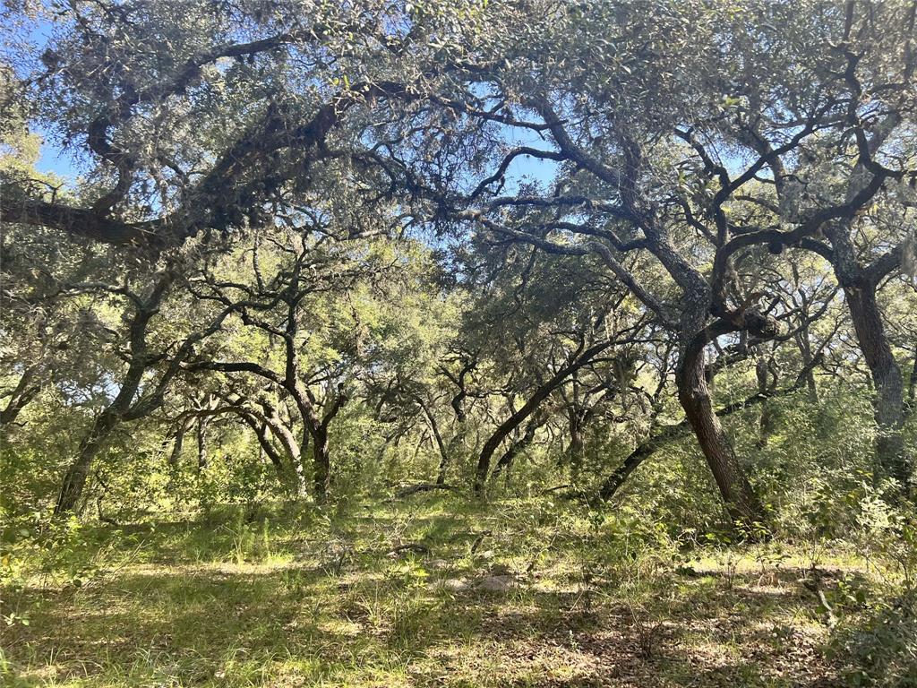 270 Cr 120, Hallettsville, Texas image 8
