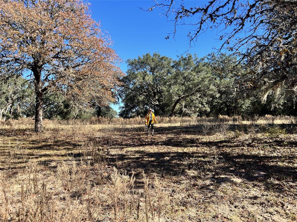 270 Cr 120, Hallettsville, Texas image 4