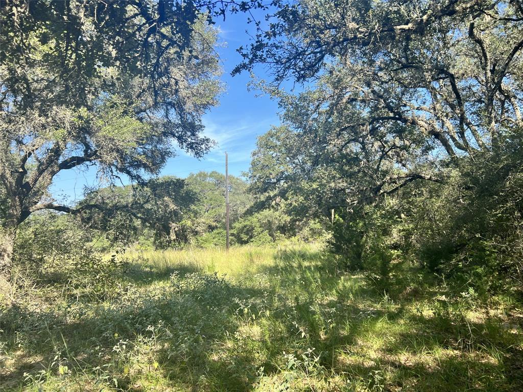 270 Cr 120, Hallettsville, Texas image 5