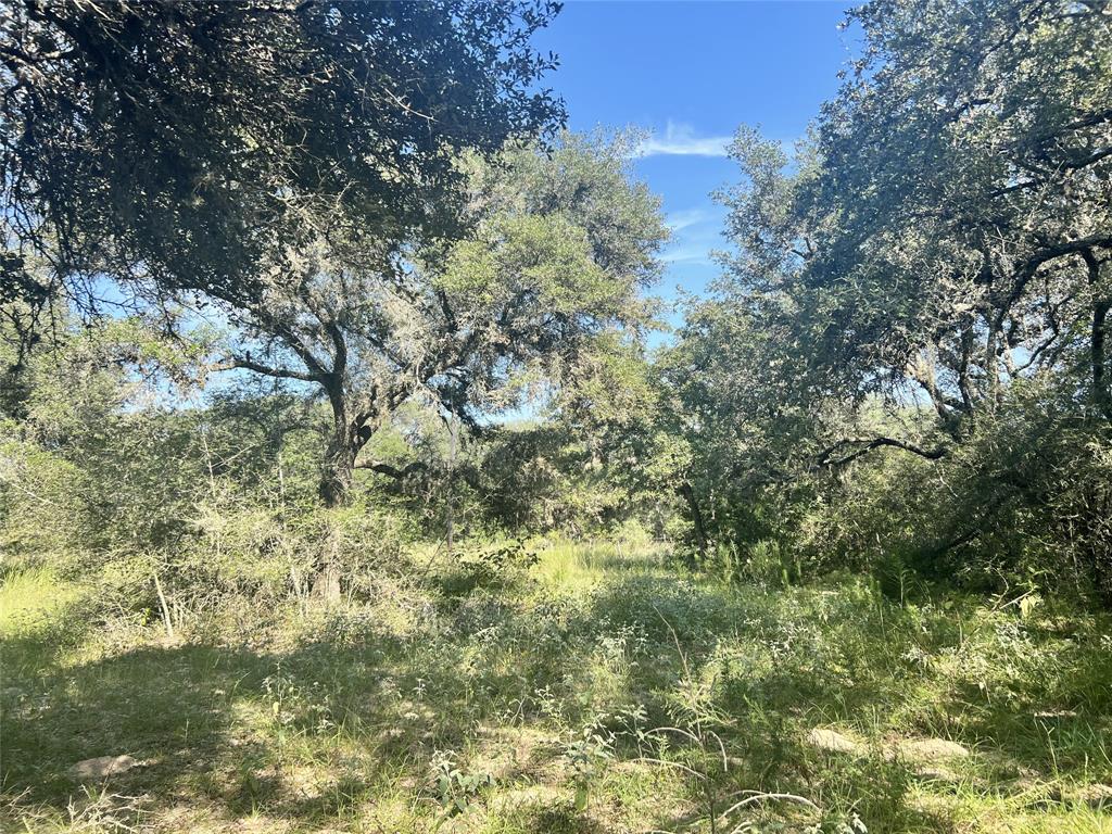 270 Cr 120, Hallettsville, Texas image 6