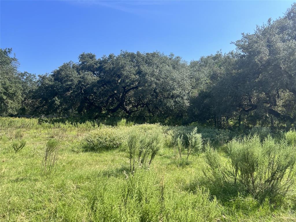 270 Cr 120, Hallettsville, Texas image 11