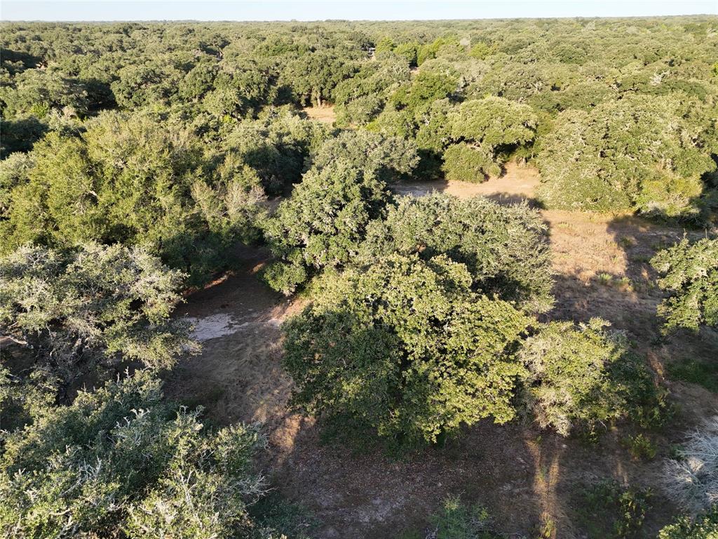 270 Cr 120, Hallettsville, Texas image 16