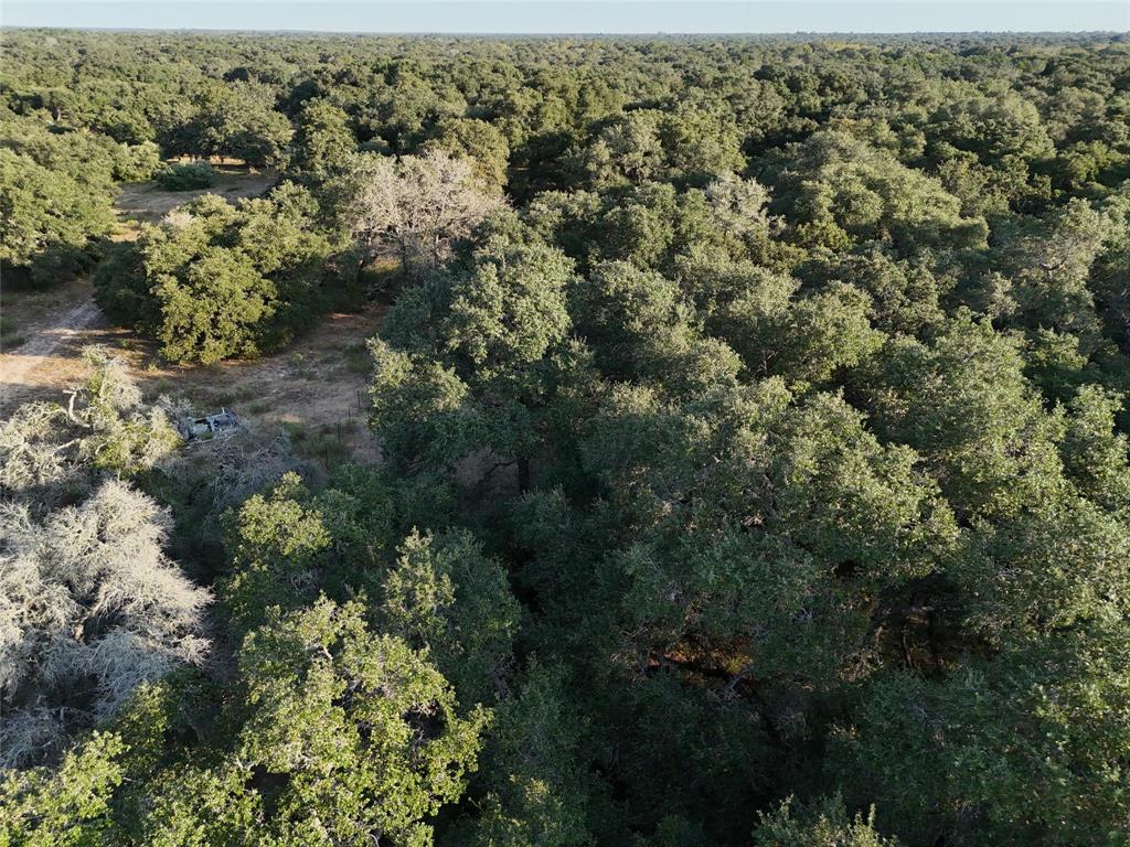 270 Cr 120, Hallettsville, Texas image 14