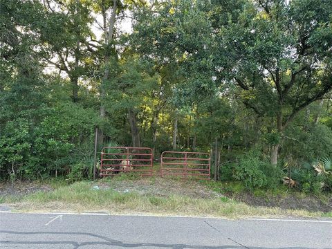 Photo of 0 County Road 728c, Sweeny, TX 77480 (MLS # 4193625)