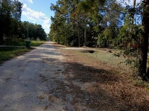 Photo of 25881 Somerset, New Caney, TX 77357 (MLS # 41855319)