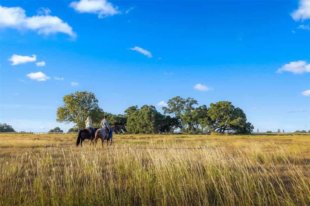 5345 Hartfield Road Rd, Round Top, Texas image 7