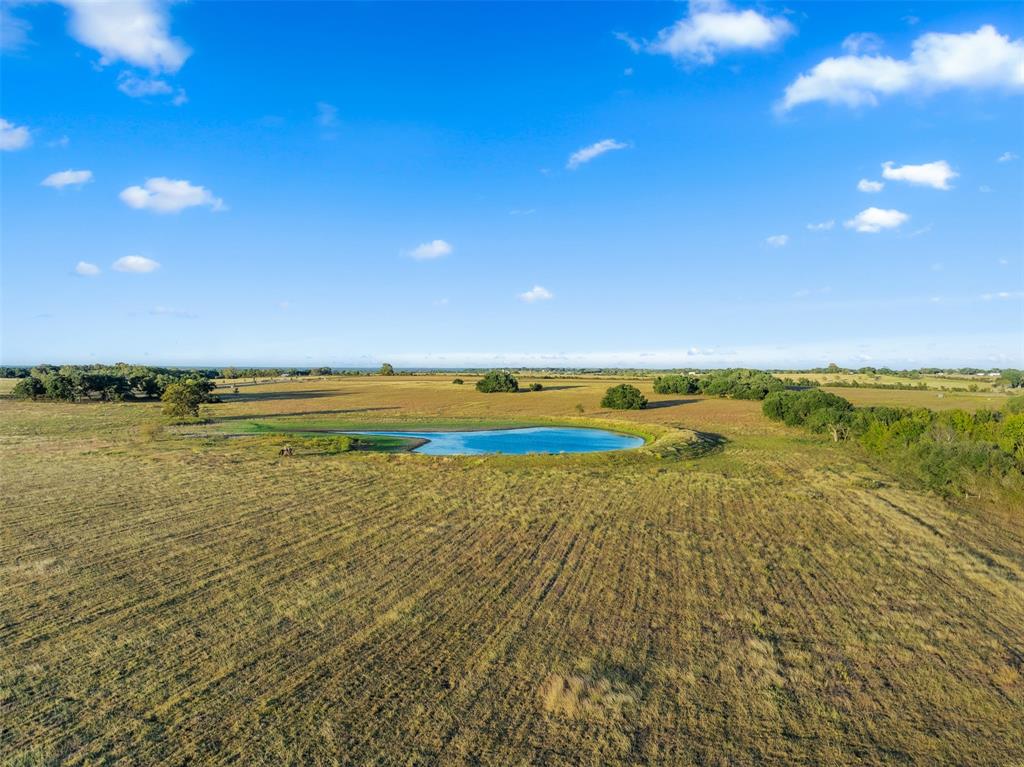 5345 Hartfield Road Rd, Round Top, Texas image 9