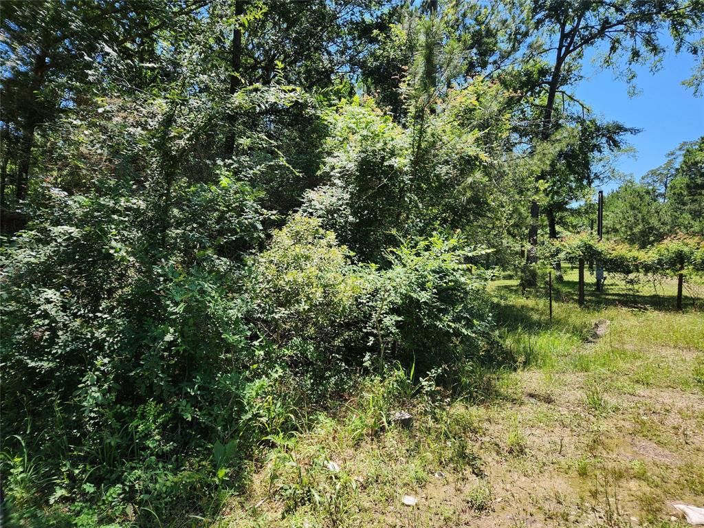 Lot 10 Sweetleaf Lane, Plantersville, Texas image 6