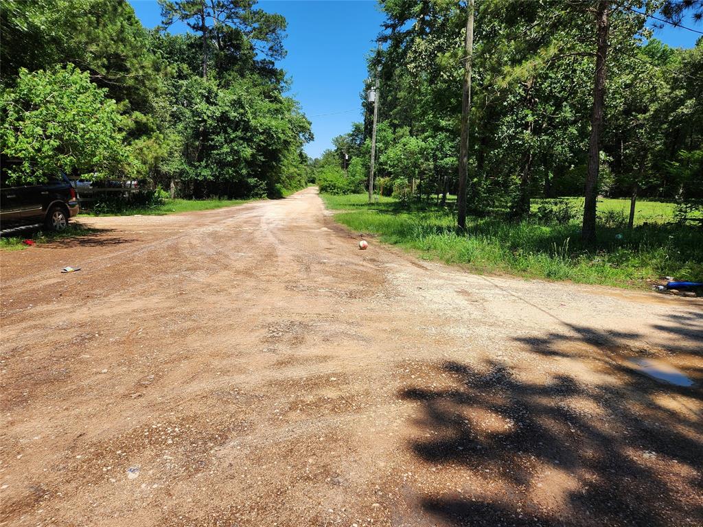 Lot 10 Sweetleaf Lane, Plantersville, Texas image 5