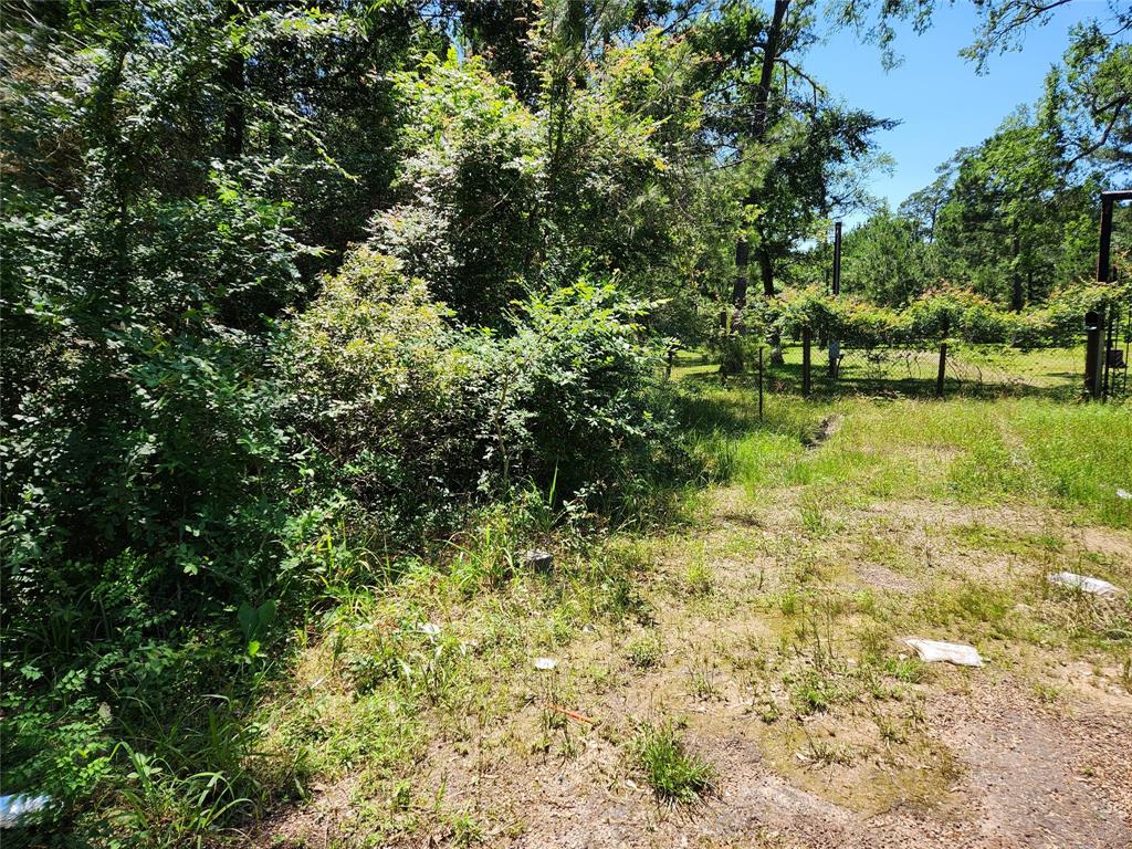 Lot 10 Sweetleaf Lane, Plantersville, Texas image 7