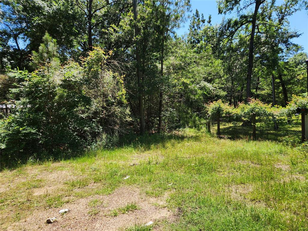 Lot 10 Sweetleaf Lane, Plantersville, Texas image 1