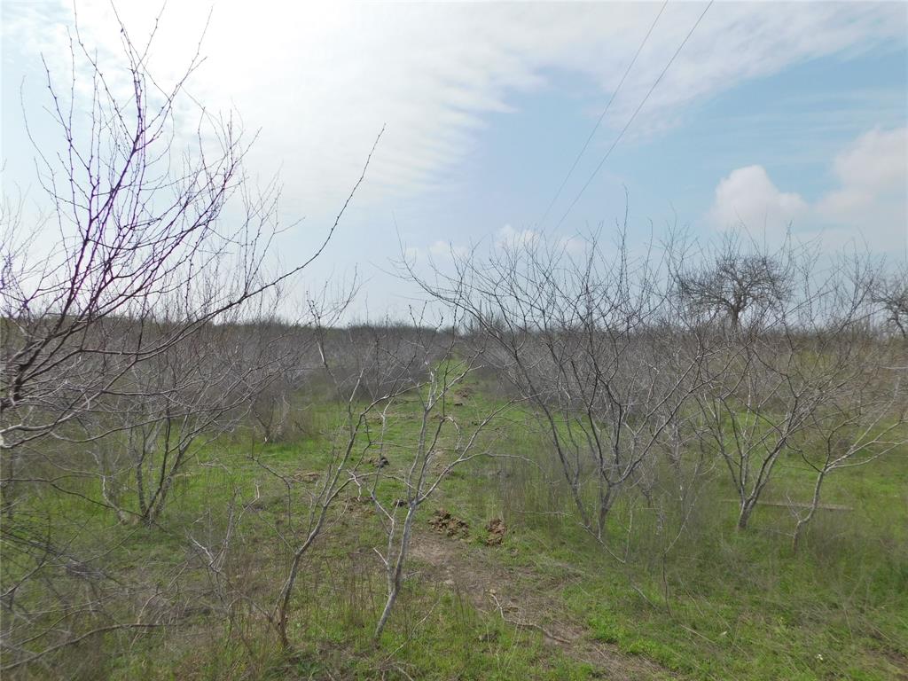 3560 County Road 305, Port Lavaca, Texas image 7