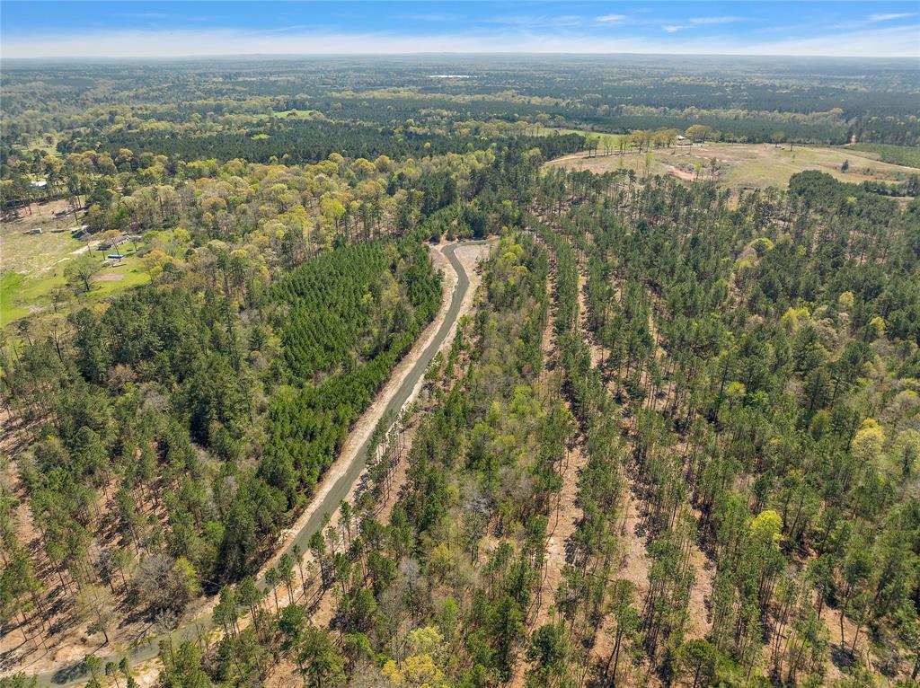 340 Piney Creek Estates Road, Timpson, Texas image 3
