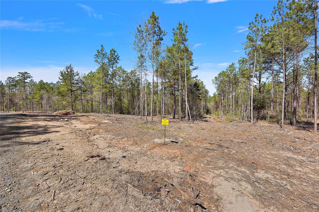 340 Piney Creek Estates Road, Timpson, Texas image 2
