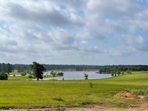 Vacant Land For Sale - Lakeland Drive<br/> Hillister, TX 77624