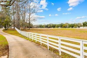 Lakeland Drive, Hillister, Texas image 5