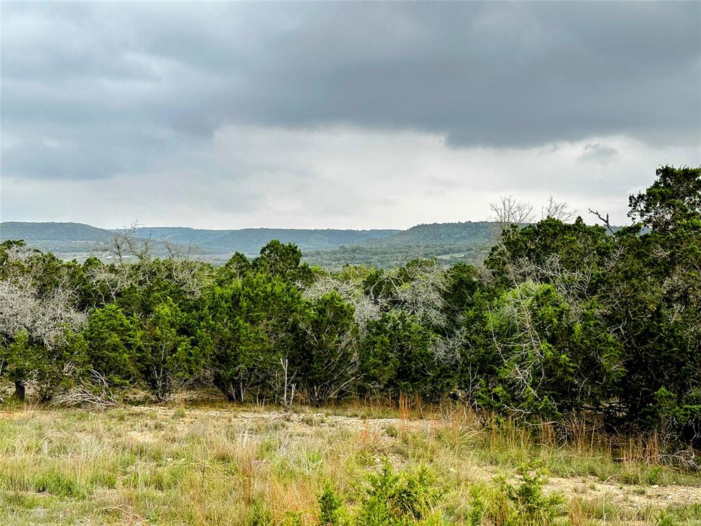 315 Witt Road, Center Point, Texas image 25