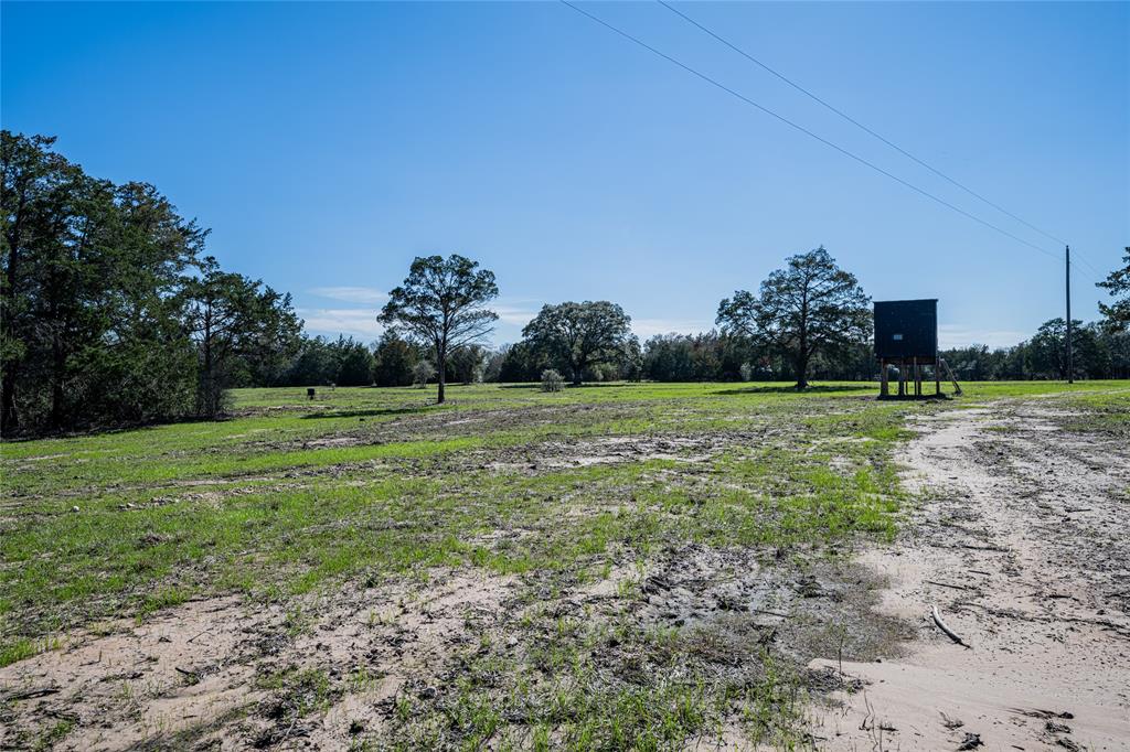 TBD Schoenst Road - Tract 4, Carmine, Texas image 4