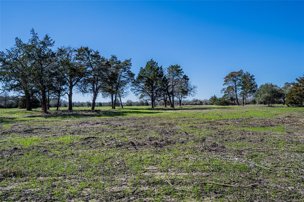 TBD Schoenst Road - Tract 4, Carmine, Texas image 3