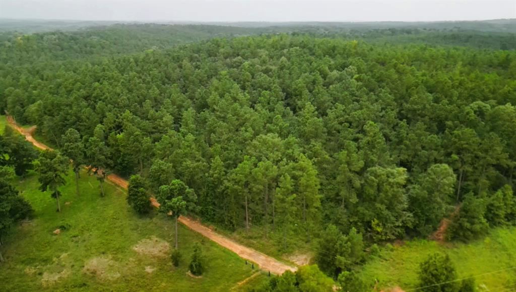 Forest Ridge, Center, Texas image 4