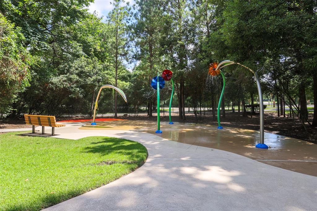 118 Emory Birch Drive, Montgomery, Texas image 45