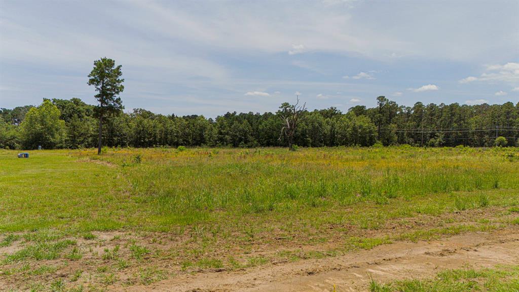 TBD Brushy Creek, Onalaska, Texas image 11