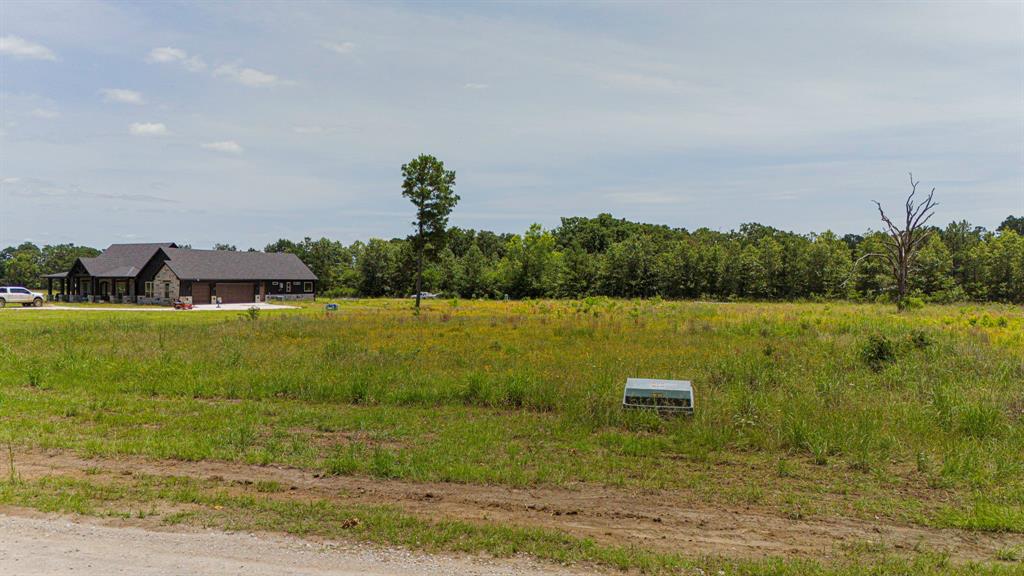 TBD Brushy Creek, Onalaska, Texas image 10