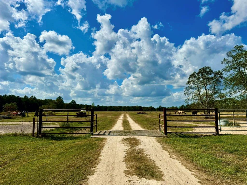 31151 Hwy 105, Sour Lake, Texas image 24