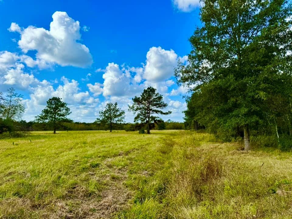 31151 Hwy 105, Sour Lake, Texas image 30