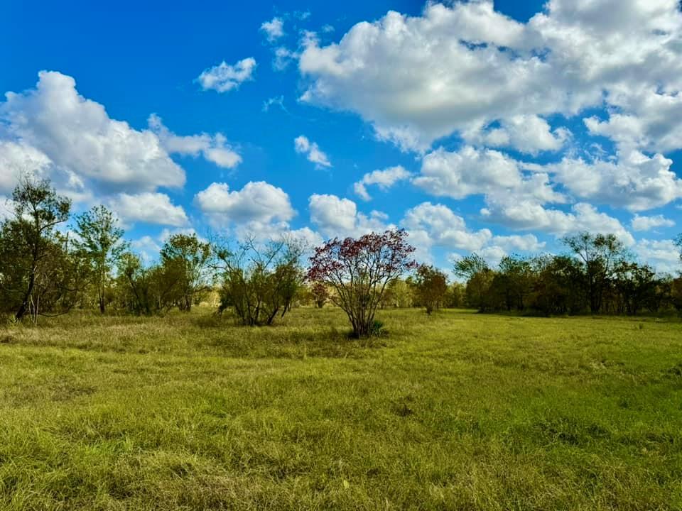 31151 Hwy 105, Sour Lake, Texas image 37