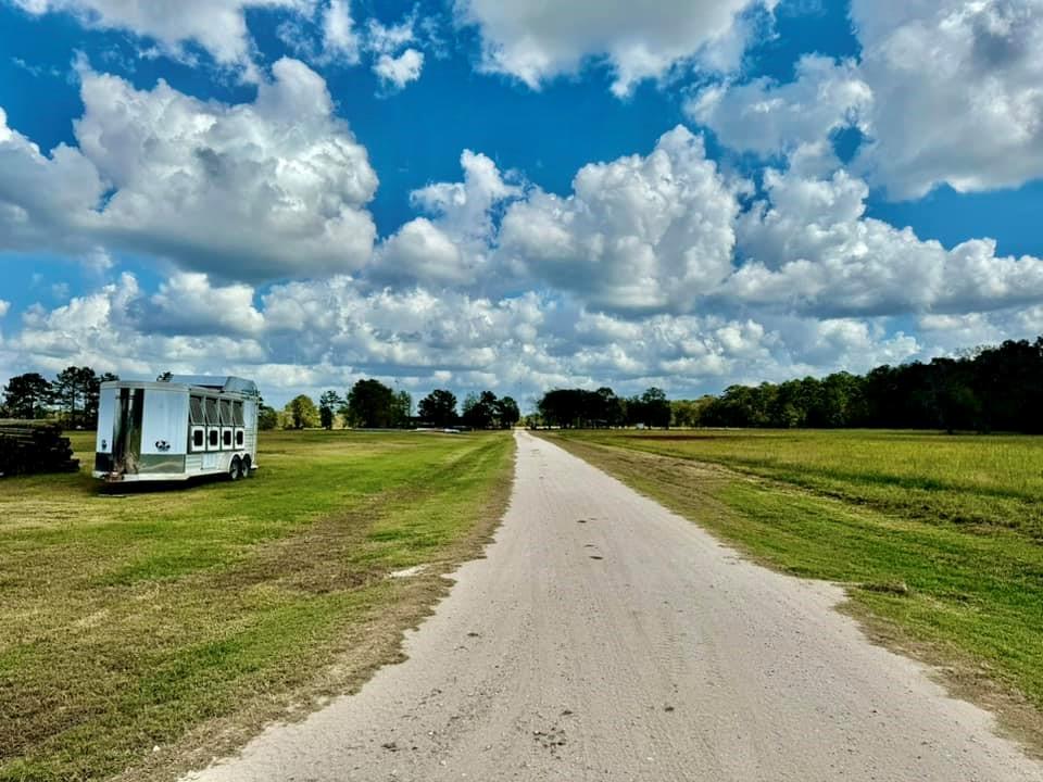 31151 Hwy 105, Sour Lake, Texas image 22