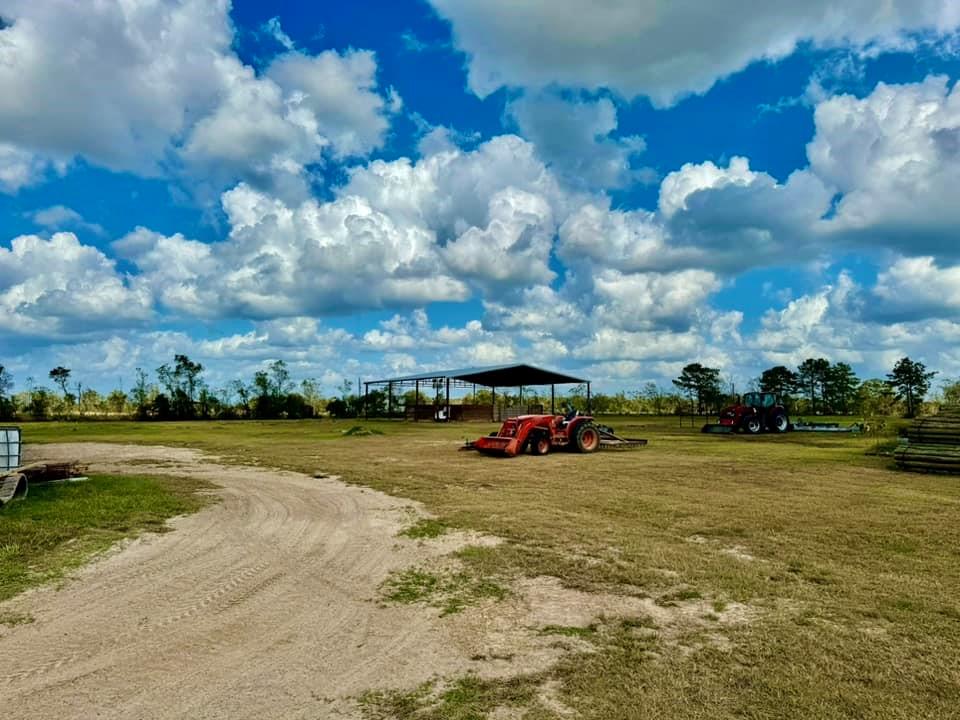 31151 Hwy 105, Sour Lake, Texas image 23