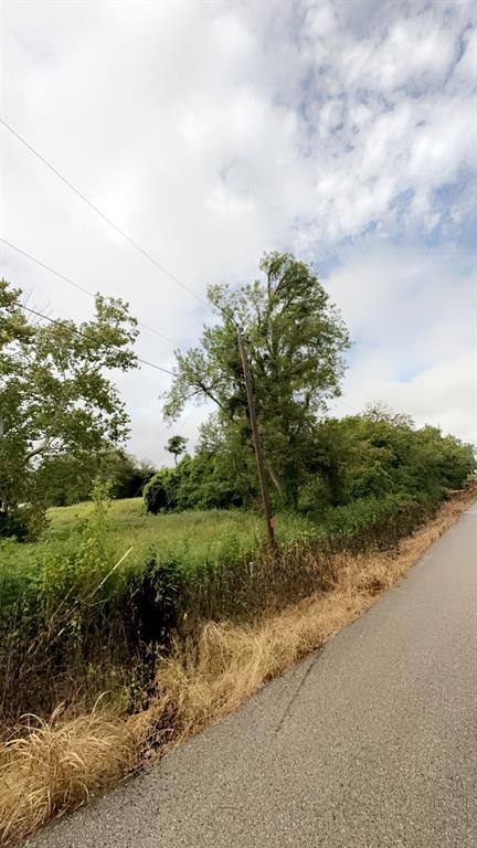 Cr-939 Ashley Wilson Rd, Sweeny, Texas image 9