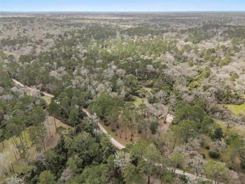 23515 Cardinal Dr Dr, Hockley, Texas image 26