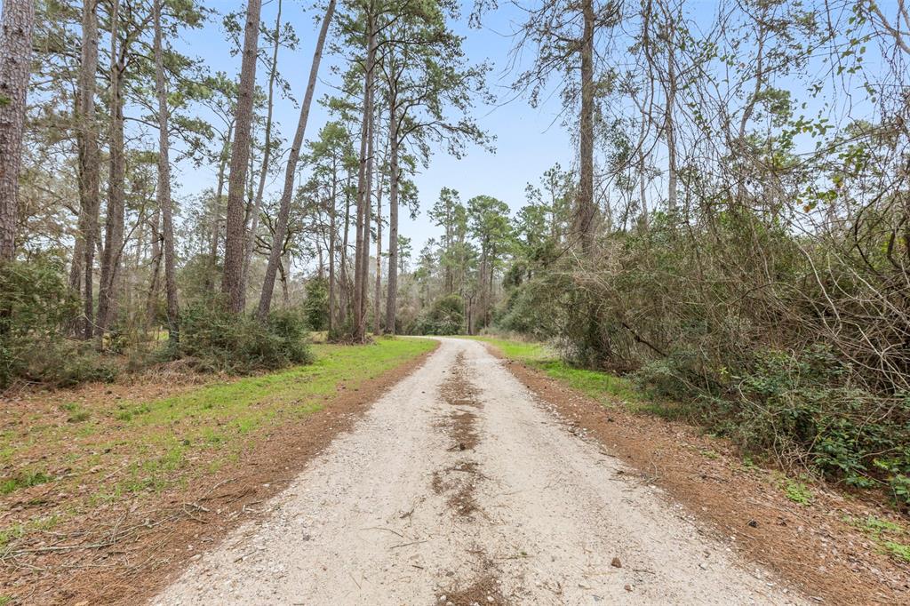 23515 Cardinal Dr Dr, Hockley, Texas image 2