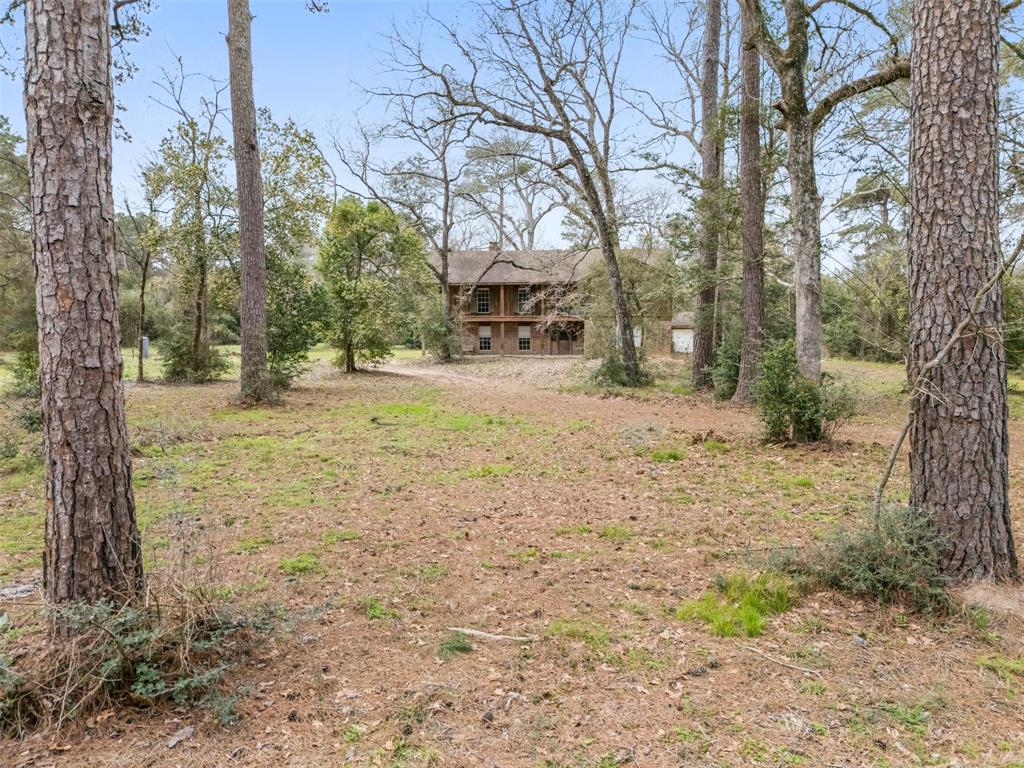 23515 Cardinal Dr Dr, Hockley, Texas image 3