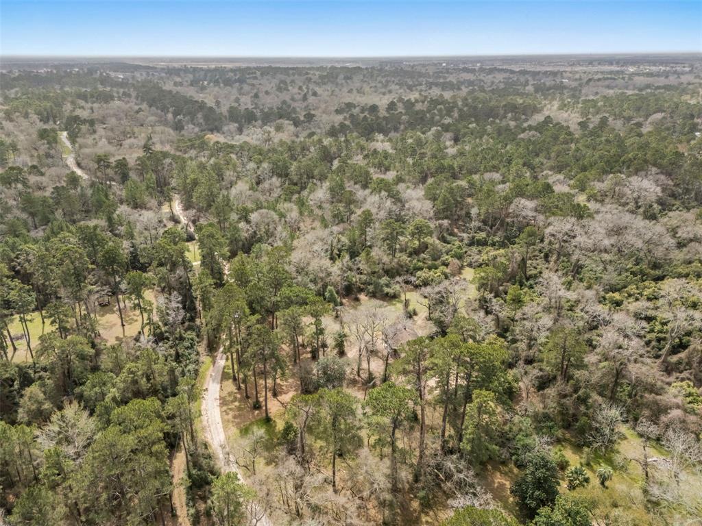 23515 Cardinal Dr Dr, Hockley, Texas image 28