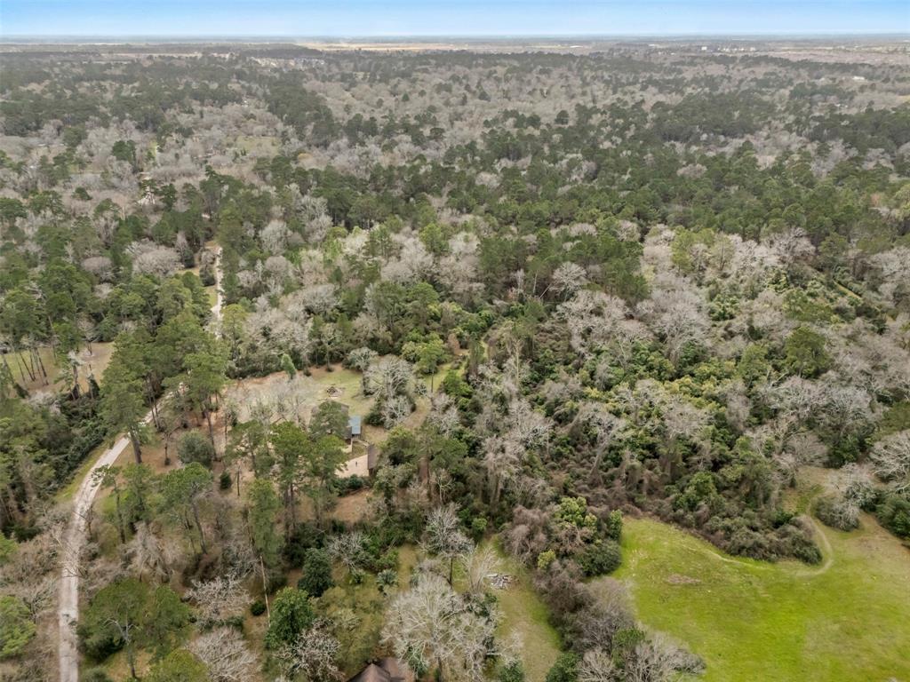 23515 Cardinal Dr Dr, Hockley, Texas image 29