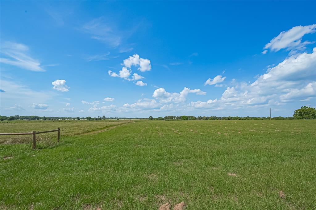 Sodolak, Sealy, Texas image 5