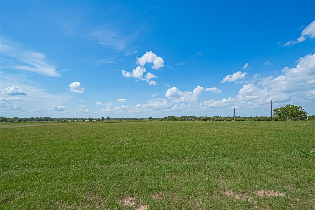 Sodolak, Sealy, Texas image 6