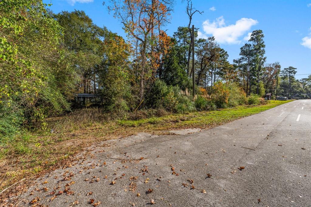 Youpon Lane, Spring, Texas image 10