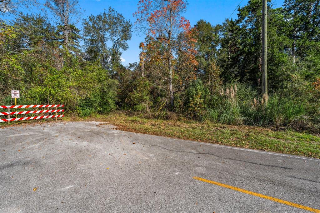 Youpon Lane, Spring, Texas image 8