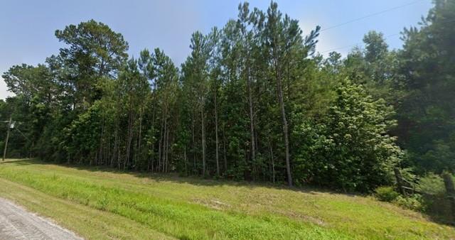 TBD County Road 2073, Hull, Texas image 2