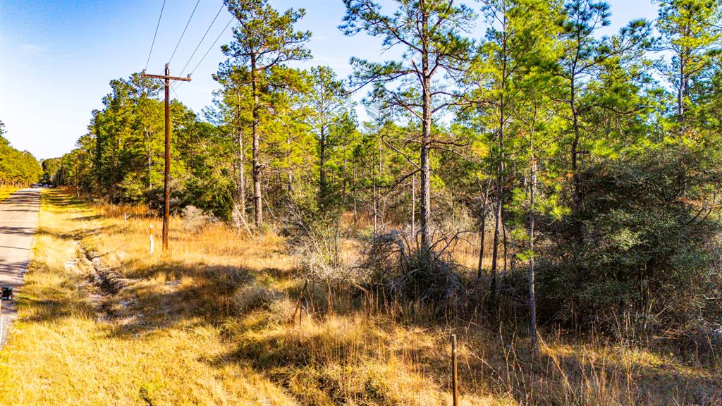 036 Sportsman Retreat Road, Onalaska, Texas image 4